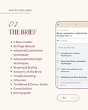 Brow Lamination x Hybrid Dye Masterclass VOL. 2 - BROWFILTER