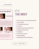 Brow Lamination x Hybrid Dye Masterclass VOL. 2 - BROWFILTER